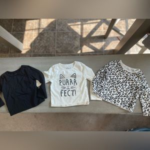 18 Month PURRFECT FOR FALL! Bundle to save